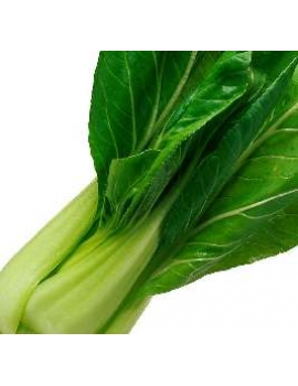 这6种非正常蔬菜千万别买