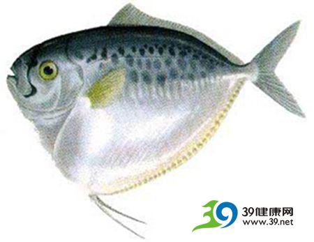 防乳癌,每周至少吃两次鱼