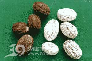 助性食物：激发性欲