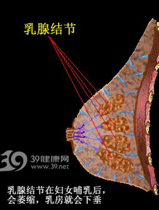 让您前列腺阳痿恢复青春