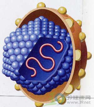 盘点乙肝的“高感染人群”!
