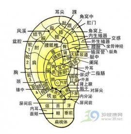 捏捏耳朵 就可以治疗麦粒肿