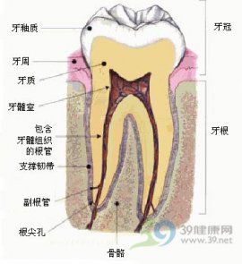 补牙 哪种填料最适合牙齿