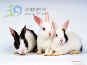 全面认识兔唇