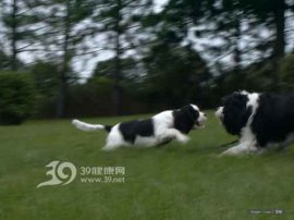 治疗鼻炎6大法