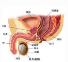 附睾炎