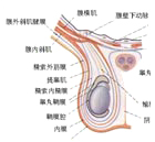 生殖器疱疹